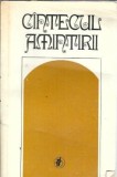 Cumpara ieftin Cantecul amintirii