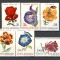Romania.1971 Flori din Gradini Botanice XR.673