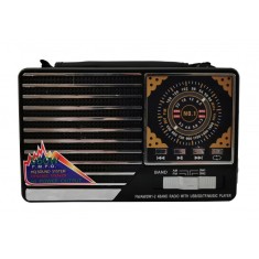 Radio elSales ELS-8021 cu USB , cititor card , FM , AM , lanterna LED , negru