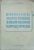Diagnosticul anatomopatologic al bolilor infectioase la animalele domestice - V. Z. Cernea (1950)