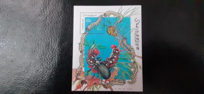 Somalia-Fauna ,insecte,omizi-colita nestampilata MNH (C1)
