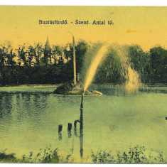 1395 - BUZIAS, Timis, Romania - old postcard - used - 1913