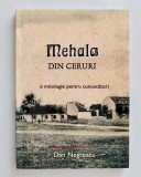 Mehala din ceruri, o mitologie pentru cunoscatori, Dan Negrescu, 2010, cu dedicatie