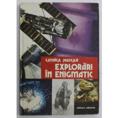 EXPLORARI IN ENIGMATIC de CATINCA MUSCAN , 1984