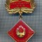 AX 860 INSIGNA - ,,INSTRUCTOR UTC&quot; LA PIONIERI -PENTRU COLECTIONARI