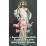 ISUSE, MA INCRED IN TINE-IOAN MANOLE-244637