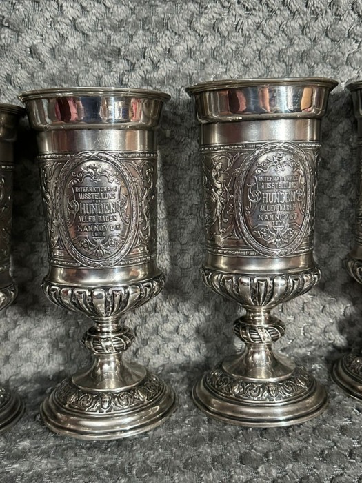 SET 6 POCALE - CUPE - PAHARE ARGINT 800 - W. Lameyer 1879 - 9.6lei/gr.!
