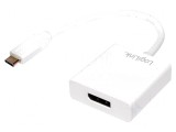 Adaptor USB C la DisplayPort Alb 140mm