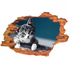 Sticker &amp;quot;Wall Crack&amp;quot; Cat 13 - 120 x 80 cm foto