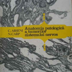 Anatomia Patologica A Tumorilor Sistemului Nervos - C. Arseni N. Carp ,292191
