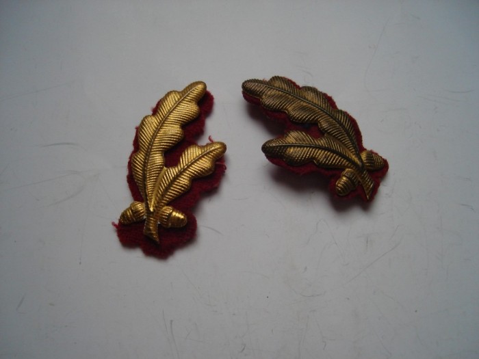 Petlite/lauri ofiter superior (aurii) infanterie RSR