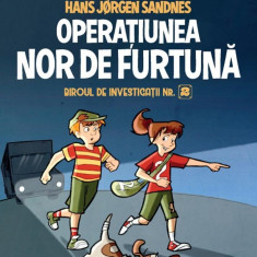 Biroul de investigații nr. 2. Operaţiunea Nor de Furtună.