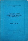 NORME DE MUNCA UNIFICATE PE ECONOMIE IN CONSTRUCTII. CAPITOLUL 16 PLACAJE-MINISTERUL CONSTRUCTIILOR INDUSTR-239991
