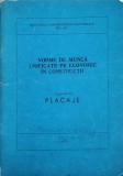 NORME DE MUNCA UNIFICATE PE ECONOMIE IN CONSTRUCTII. CAPITOLUL 16 PLACAJE-MINISTERUL CONSTRUCTIILOR INDUSTRIALE