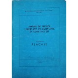 NORME DE MUNCA UNIFICATE PE ECONOMIE IN CONSTRUCTII. CAPITOLUL 16 PLACAJE-MINISTERUL CONSTRUCTIILOR INDUSTR-239991