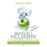 Meg&eacute;lni a pillanatot - Mindfulness, a tudatos jelenl&eacute;t pszichol&oacute;gi&aacute;ja - Szondy M&aacute;t&eacute;