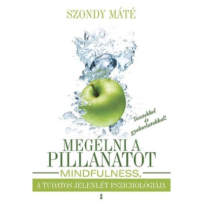 Meg&amp;eacute;lni a pillanatot - Mindfulness, a tudatos jelenl&amp;eacute;t pszichol&amp;oacute;gi&amp;aacute;ja - Szondy M&amp;aacute;t&amp;eacute; foto
