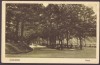 3184 - CACIULATA, Valcea, Izvoarele minerale, Romania - old postcard - unused, Necirculata, Printata