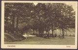 3184 - CACIULATA, Valcea, Izvoarele minerale, Romania - old postcard - unused