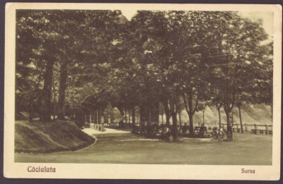 3184 - CACIULATA, Valcea, Izvoarele minerale, Romania - old postcard - unused foto