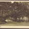 3184 - CACIULATA, Valcea, Izvoarele minerale, Romania - old postcard - unused