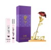 Set apa de toaleta Sentio 35 ml, pentru dama, model aleatoriu si trandafir rosu cu suport si cutie cadou, suflat la baza cu auriu