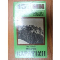 MUNTII NOSTRI NR. 15 : MUNTII CAPATANII
