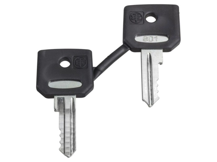 Set 2 Chei 22mm Harmony XB4