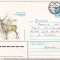 bnk ip URSS 1983 - fauna - circulat spre Romania