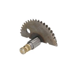 Semiluna GY6/Atv/Moped 139QMB