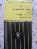 STRUCTURI ORGANIZATORICE ALE INTREPRINDERII MODERNE-IONITA OLTEANU