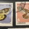(STR3) Timbre serii Straine Cuba Fluturi fauna