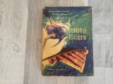 Lumea tacerii de Jacques-Yves Cousteau,Frederic Dumas