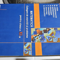 MATEMATICA CLASA A XI A CULEGERE DE EXERCITII SI PROBLEME TENA ANDRONACHE ART