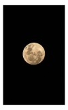 Tablou Canvas, "Luna plină pe cerul &icirc;ntunecat", Lună, Plină, Strălucitoare, Misterioasă, Nocturnă, Rotundă, 26 x 39 cm, CMCLASS