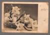 CPIB 20870 - CARTE POSTALA, FELICITARE - COS CU OUA SI FLORI, AMAG, CENZURAT