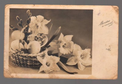 CPIB 20870 - CARTE POSTALA, FELICITARE - COS CU OUA SI FLORI, AMAG, CENZURAT foto