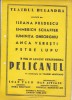 Bnk div Afis mic - Teatrul Bulandra - Pelicanul