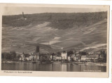 CPIB 16763 CARTE POSTALA - RUDESHEIM mit NATIONALDENKMAL, ZEITZ, VECHE, Necirculata, Fotografie