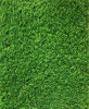 Covor Gazon Iarba Artificiala Sri Lanka 20 mm Latime 2 m - 200x800, Verde