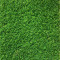 Covor Gazon Iarba Artificiala Sri Lanka 20 mm Latime 2 m - 200x700, Verde