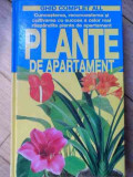 Plante De Apartament - Colectiv ,526312, Allfa