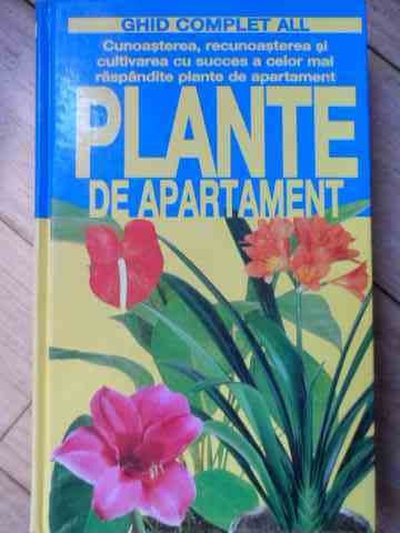 Plante De Apartament - Colectiv ,526312