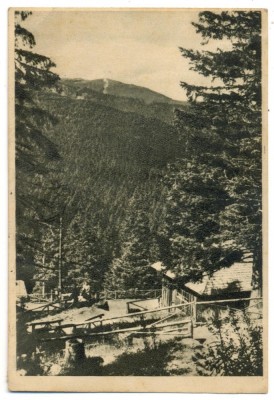 AD 896 C. P. VECHE -PALTINIS - VEDERE -RPR -CIRCULATA 1955 foto