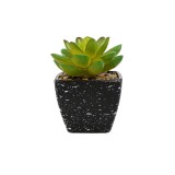 Planta Suculenta Artificiala, Verde, Plastic, 9Cm ComfortTravel Luggage, Ella Home