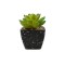 Planta Suculenta Artificiala, Verde, Plastic, 9Cm ComfortTravel Luggage
