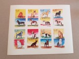 OMAN CAINI SI PISICI COLITA SUPRATIPAR IBRA MUNICH 1973 NEDANTELAT MNH, Nestampilat