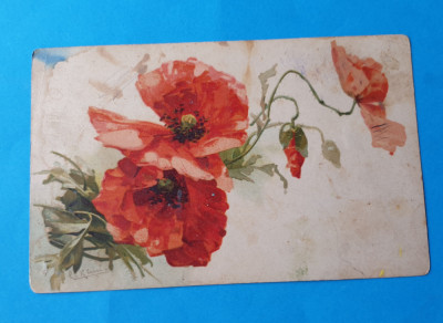 Carte Postala veche anii 1920 - Flori de Mac foto