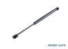 Telescop hayon Daewoo Nubira (1997-&gt;) [J100] #1