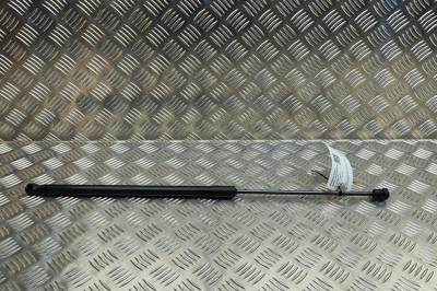 Amortizor capota dreapta față FORD PUMA J2K, CF7 2024 OEM: L1TB-S406A10-AC | 31987773 foto